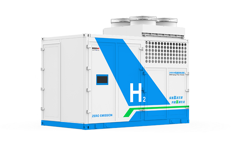 Cogeneración (CHP) WEFG260