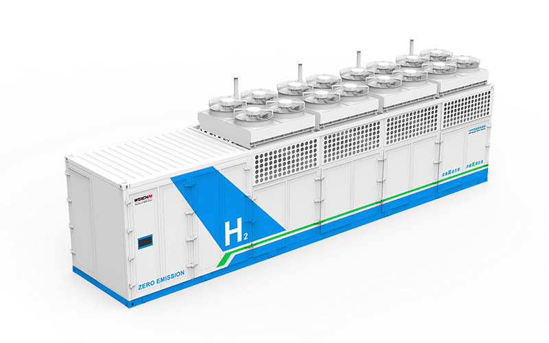 Cogeneración (CHP) WEFG1000
