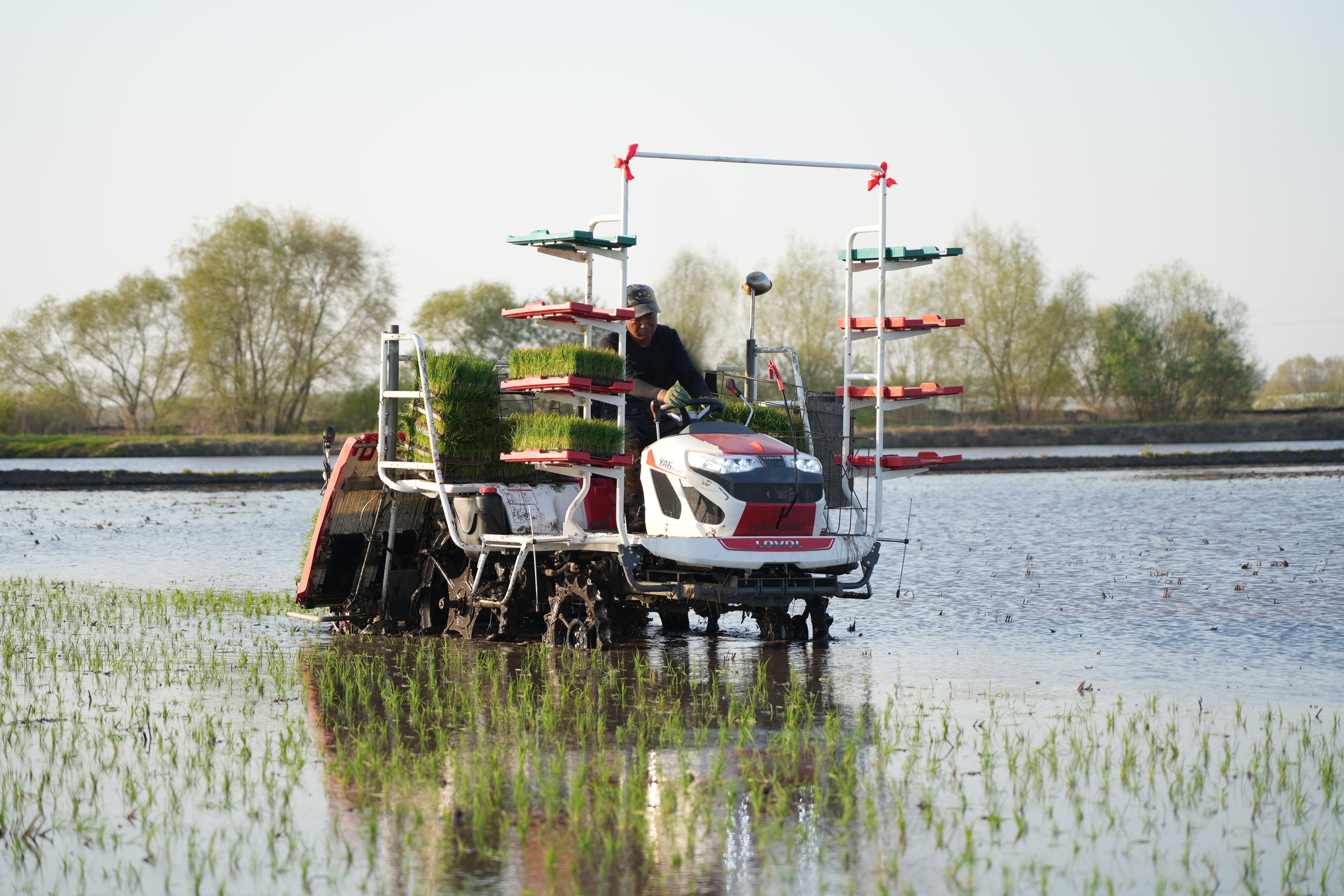 Soluciones de potencia exclusivas para arrozales