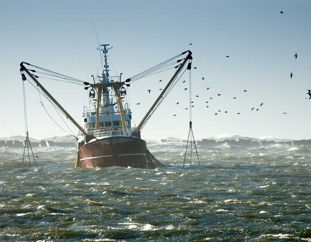 Buques de pesca de altura