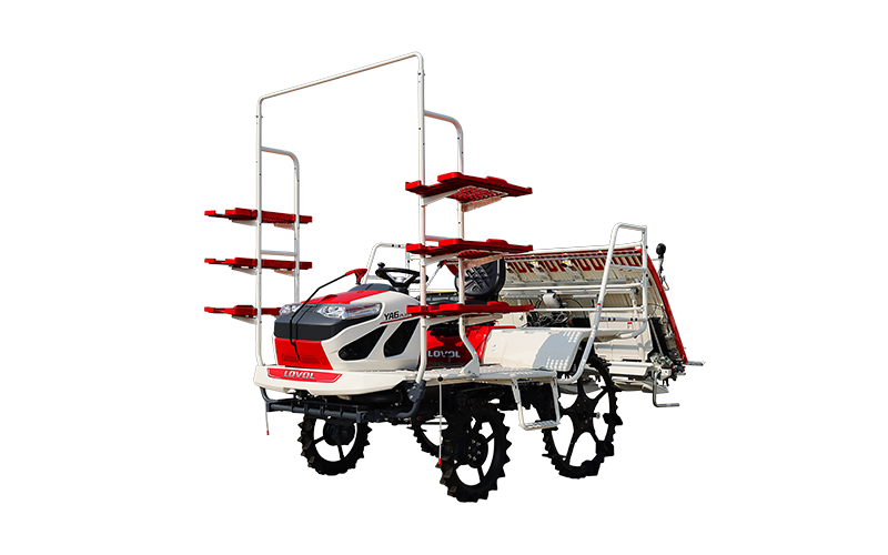 Trasplantadora de arroz 2ZG-8A25